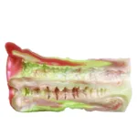 Double Channel Alien Stroker Fantasy Men Masturbator  & Horse Pocket Pussy - Image 6