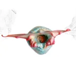 Soft Silicone Fantasy Exotic Men Glans Trainer - Image 8