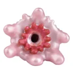 Manual Male Pocket Stroker Exotic Penis Trainer - Image 2