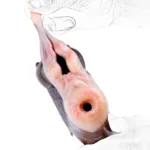 Animal Men Masturbator Soft Silicone Goat Vagina & Horse Pocket Pussy Sex Toy - Image 12