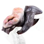 Animal Men Masturbator Soft Silicone Goat Vagina & Horse Pocket Pussy Sex Toy - Image 9