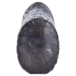 Animal Men Masturbator Soft Silicone Monkey & Horse Pussy Toy - Image 7