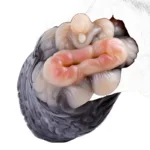 Animal Men Masturbator Soft Silicone Monkey & Horse Pussy Toy - Image 11