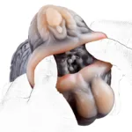 Animal Men Masturbator Soft Silicone Monkey & Horse Pussy Toy - Image 10