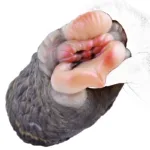 Camel & Horse Pocket Pussy Toy Soft Silicone Animal Men Masturbator - Image 9