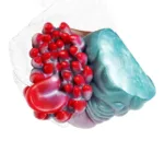 Fantasy Monster Pussy Toy Tight One Channel  Men Penis Stroker - Image 11