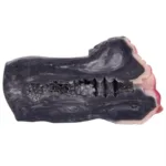 Soft Silicone Cow & Horse Pocket Pussy Toy Two Channel Animal Masturbation Cup for Men - Image 10