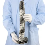 17 Inch Extra Long 2 Inch Wide Black-and-White PVC Realistic Dildo - Image 2