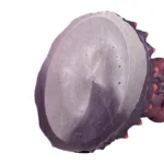 8 Inch Fat Monster Dildo Suction Cup Silicone Alien Sex Toy - Image 6