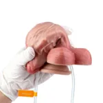 6.5 IN Short Fat Ejaculating and Inflatable Texture Realistic Dildo - Image 8